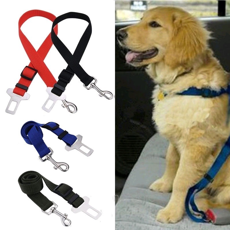 Travel Accessories Dropshipping - Đai Ghế Ngồi Ô Tô Cho