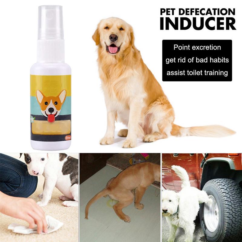 1PCS Dog Potty Train Spray Por - đánh giá và giá Travel Accessories For Train